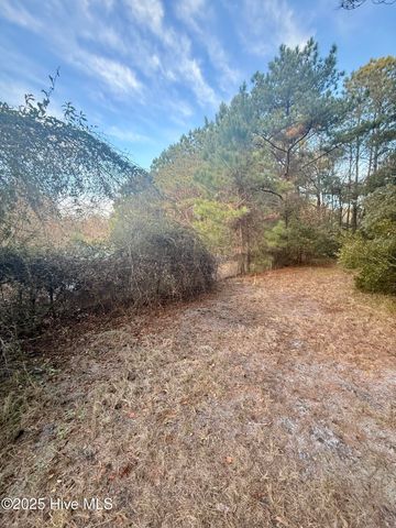 56 Riegel Drive, Hubert, NC 28539