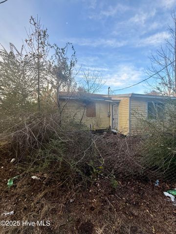 56 Riegel Drive, Hubert, NC 28539