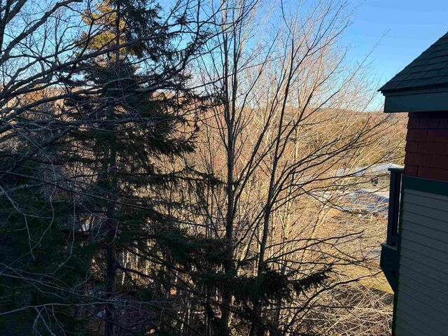 204 206 Qtr 2 Grand Summit Way 204 206 Qtr 2, Dover, VT 05356