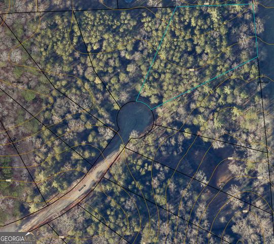 96 Tanvor Trail, Cleveland, GA 30528