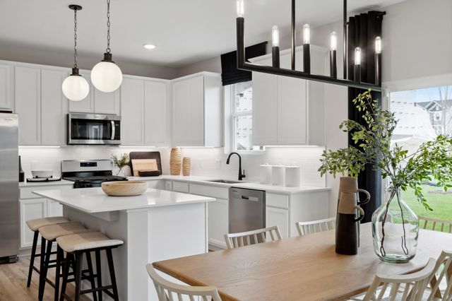 15037 Athenry Bay, Rosemount, MN 55068