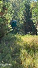 0 Hwy 2, Graceville, FL 32440