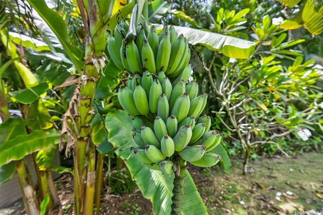 47-337 Mahakea Road, Kaneohe, HI 96744