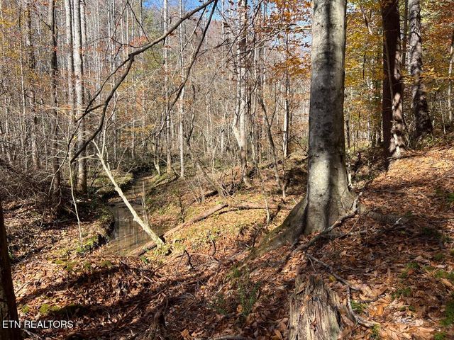 523 Honey Creek Loop Rd, Allardt, TN 38504