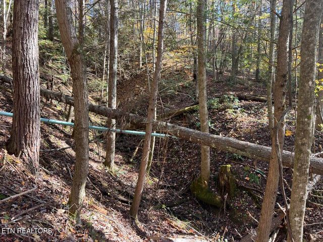 523 Honey Creek Loop Rd, Allardt, TN 38504