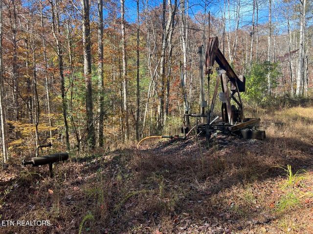 523 Honey Creek Loop Rd, Allardt, TN 38504