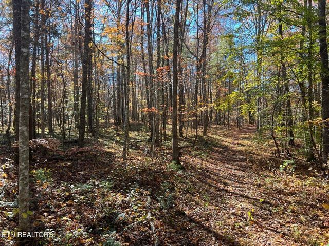 523 Honey Creek Loop Rd, Allardt, TN 38504