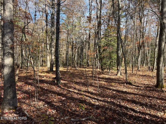 523 Honey Creek Loop Rd, Allardt, TN 38504