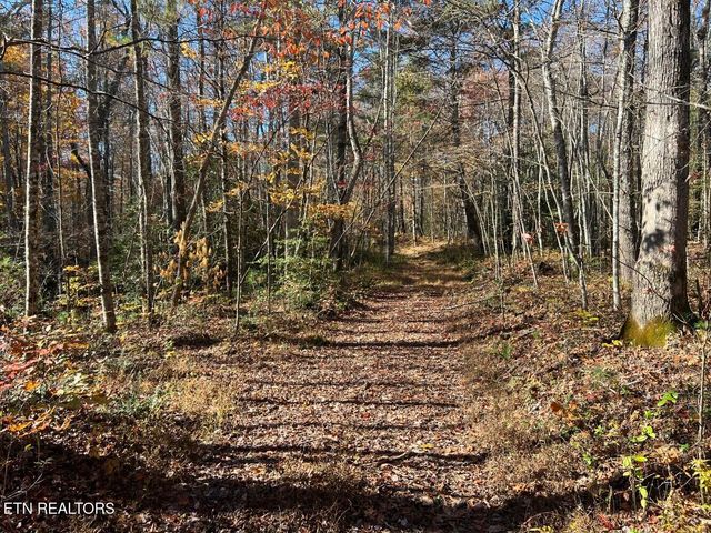 523 Honey Creek Loop Rd, Allardt, TN 38504