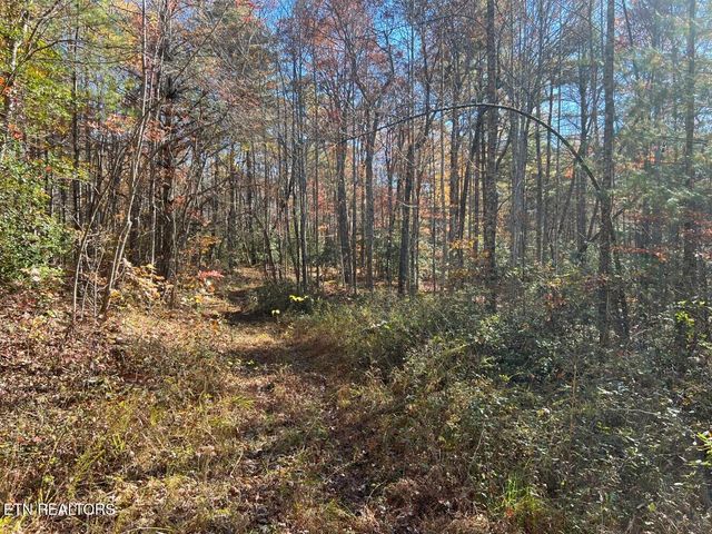 523 Honey Creek Loop Rd, Allardt, TN 38504