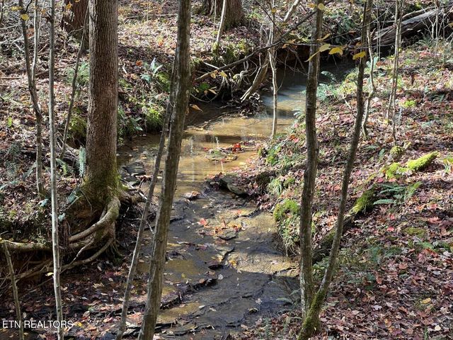 523 Honey Creek Loop Rd, Allardt, TN 38504