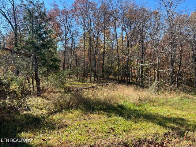 523 Honey Creek Loop Rd, Allardt, TN 38504