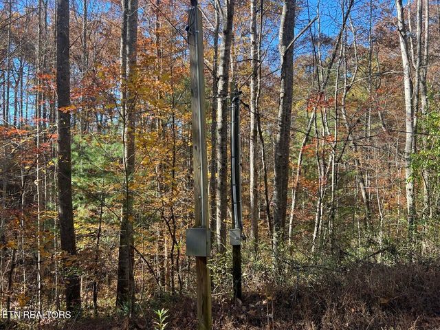 523 Honey Creek Loop Rd, Allardt, TN 38504