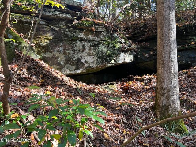 523 Honey Creek Loop Rd, Allardt, TN 38504