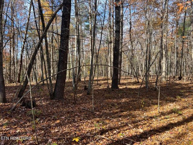 523 Honey Creek Loop Rd, Allardt, TN 38504