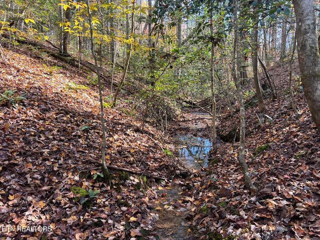 523 Honey Creek Loop Rd, Allardt, TN 38504