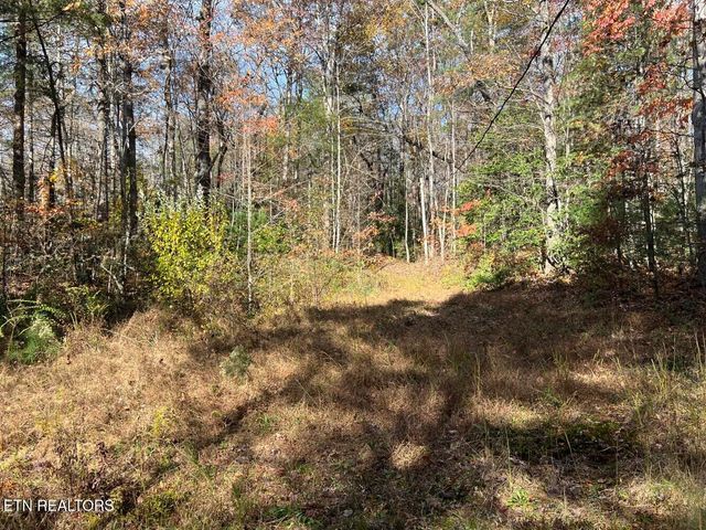 523 Honey Creek Loop Rd, Allardt, TN 38504