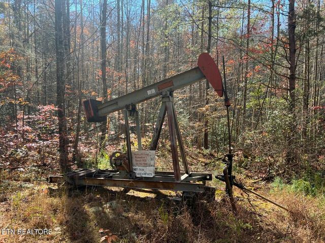 523 Honey Creek Loop Rd, Allardt, TN 38504