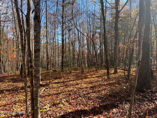 523 Honey Creek Loop Rd, Allardt, TN 38504