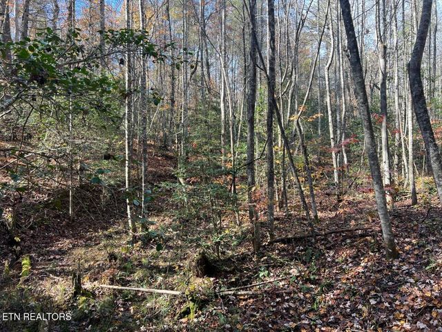 523 Honey Creek Loop Rd, Allardt, TN 38504