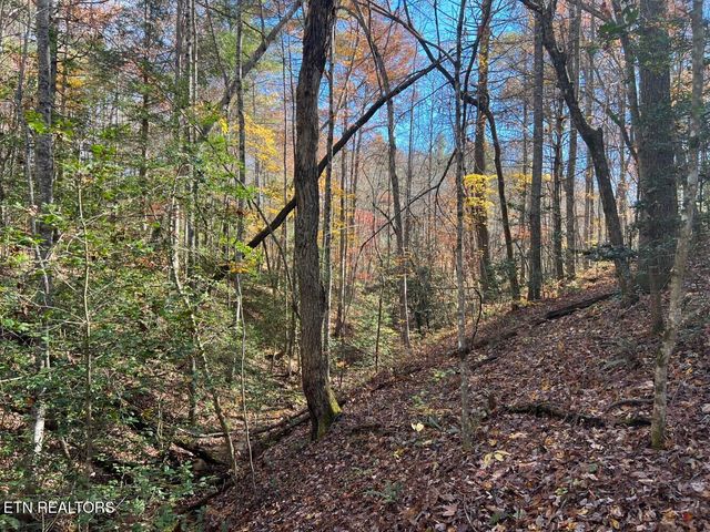 523 Honey Creek Loop Rd, Allardt, TN 38504