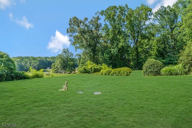 107 Chestnut Ave, Bernardsville Boro, NJ 07924