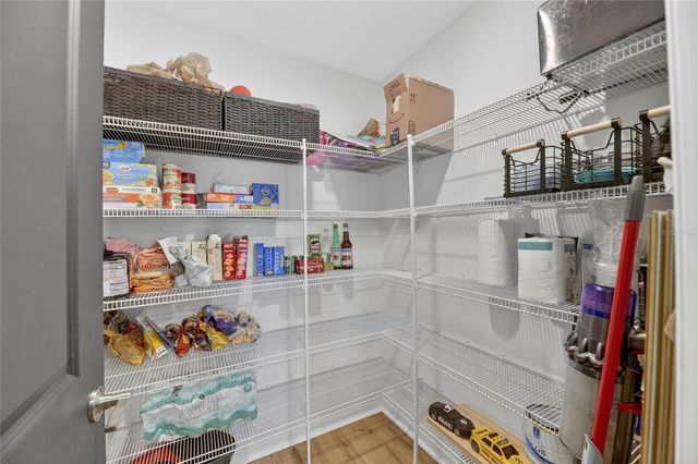 13054 VIOLET FLAME AVENUE, Wimauma, FL 33598