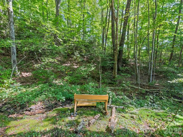 100 Loafer Lane, Waynesville, NC 28785