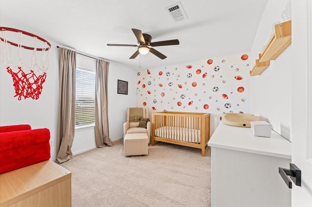 17918 Baleage Lane, Hockley, TX 77447