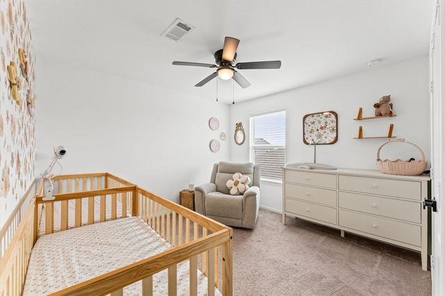 17918 Baleage Lane, Hockley, TX 77447