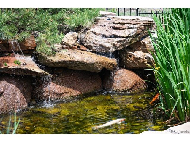 5777 Chisholm Pl, Parker, CO 80134
