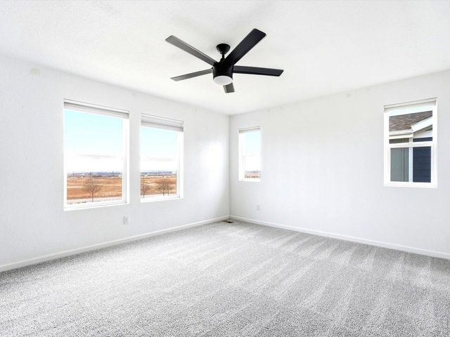 17464 Olive St, Broomfield, CO 80023