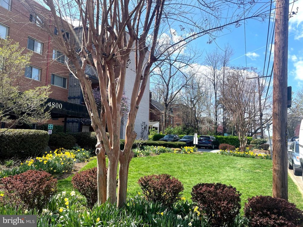 Image 2 of property listing at 4800 CHEVY CHASE DR #508, Chevy Chase, MD 20815