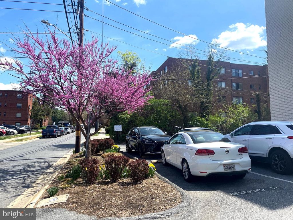 Image 3 of property listing at 4800 CHEVY CHASE DR #508, Chevy Chase, MD 20815