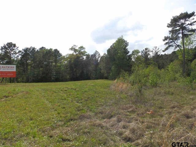 19546 HWY 155, Flint, TX 75762