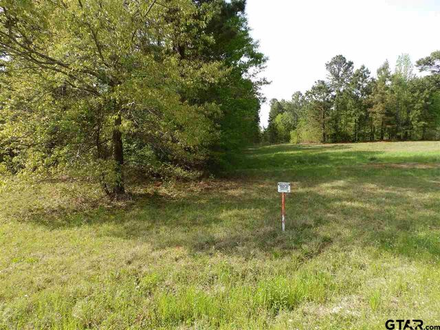 19546 HWY 155, Flint, TX 75762