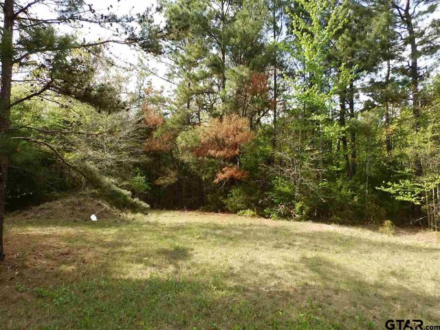 19546 HWY 155, Flint, TX 75762