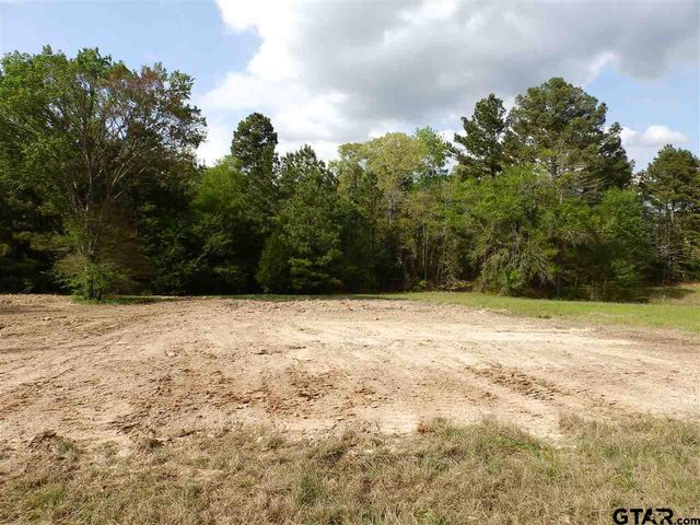 19546 HWY 155, Flint, TX 75762