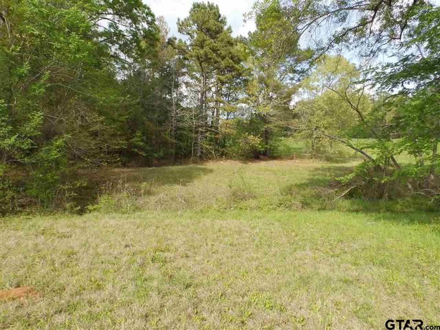 19546 HWY 155, Flint, TX 75762