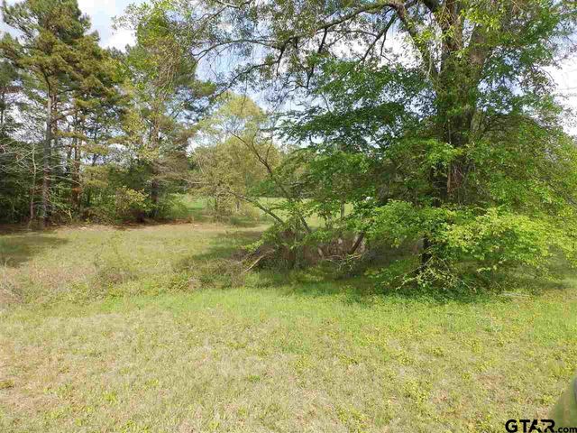 19546 HWY 155, Flint, TX 75762