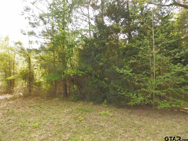 19546 HWY 155, Flint, TX 75762