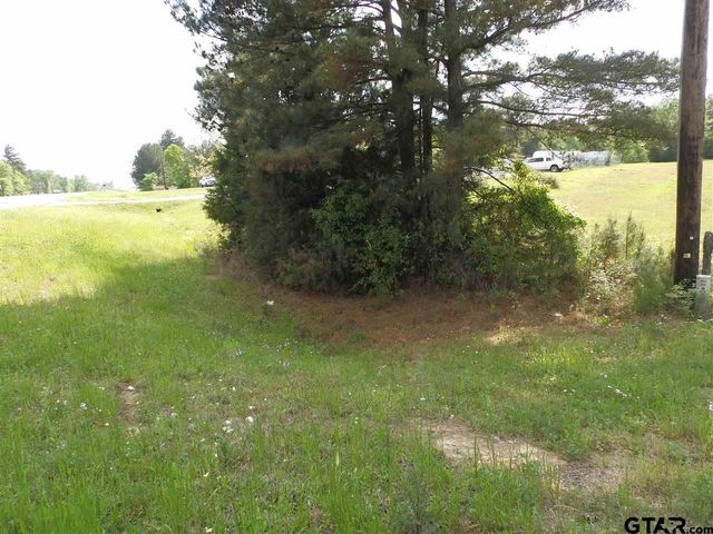 19546 HWY 155, Flint, TX 75762