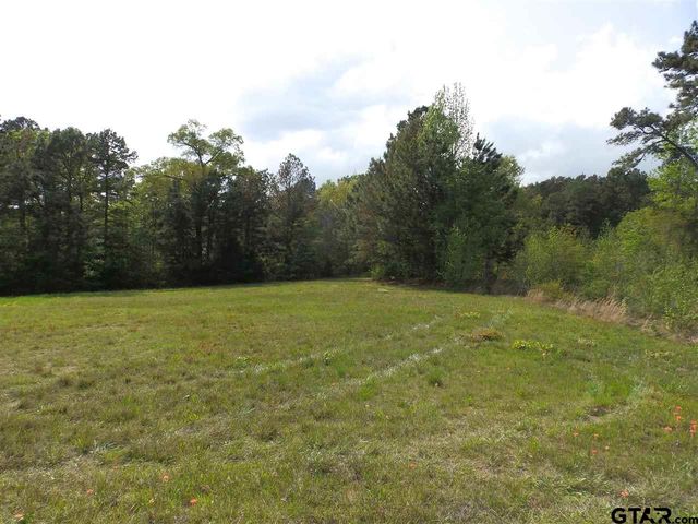 19546 HWY 155, Flint, TX 75762