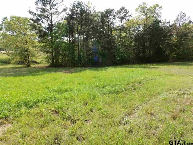 19546 HWY 155, Flint, TX 75762