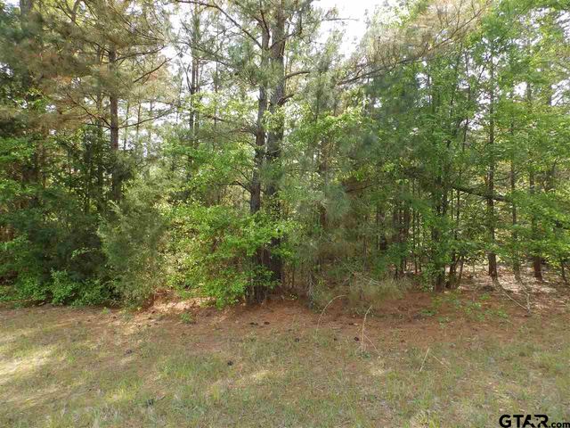 19546 HWY 155, Flint, TX 75762
