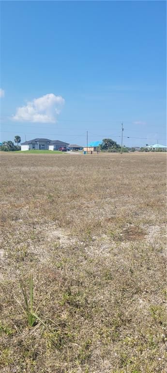 3520 Old Burnt Store RD N, CAPE CORAL, FL 33993 — photo 2