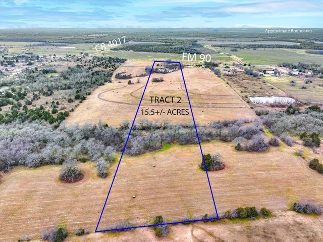 Tract 2 Fm Rd 90, Mabank, TX 75147