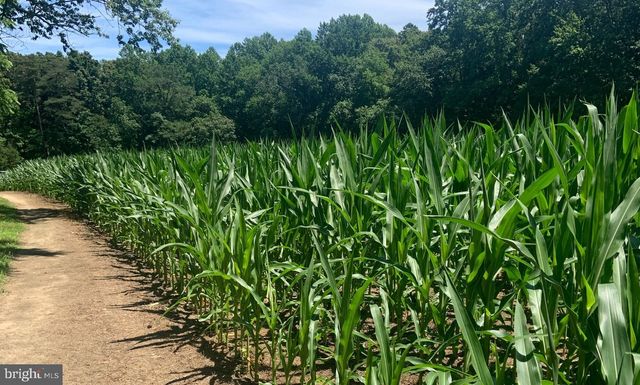 6 CINDERBERRY CT, Georgetown, DE 19947