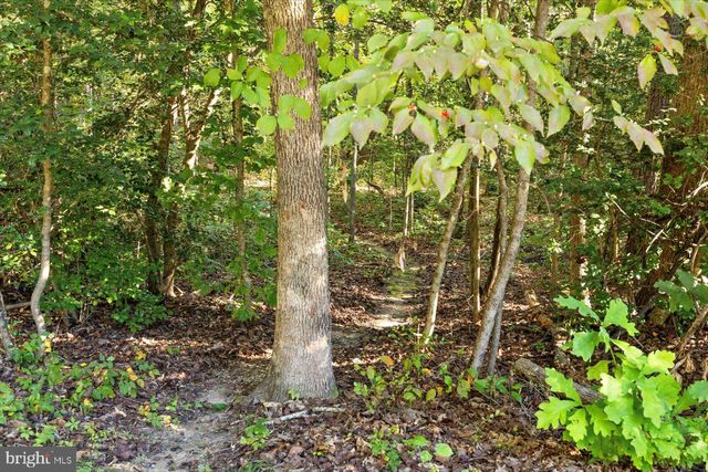 22617 TELEGRAPH RD, Ruther Glen, VA 22546