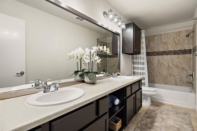905 Greenbriar LOOP, Round Rock, TX 78664